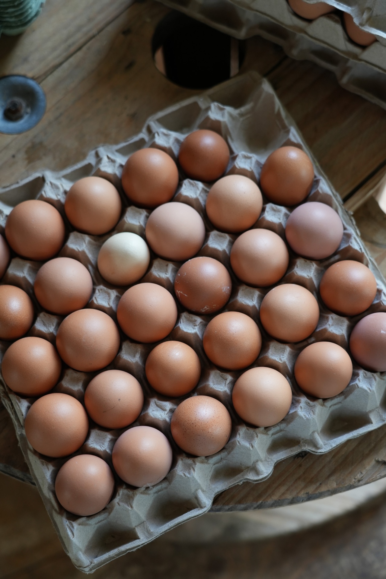 Verse eitjes van blije kippen in een eierdoos