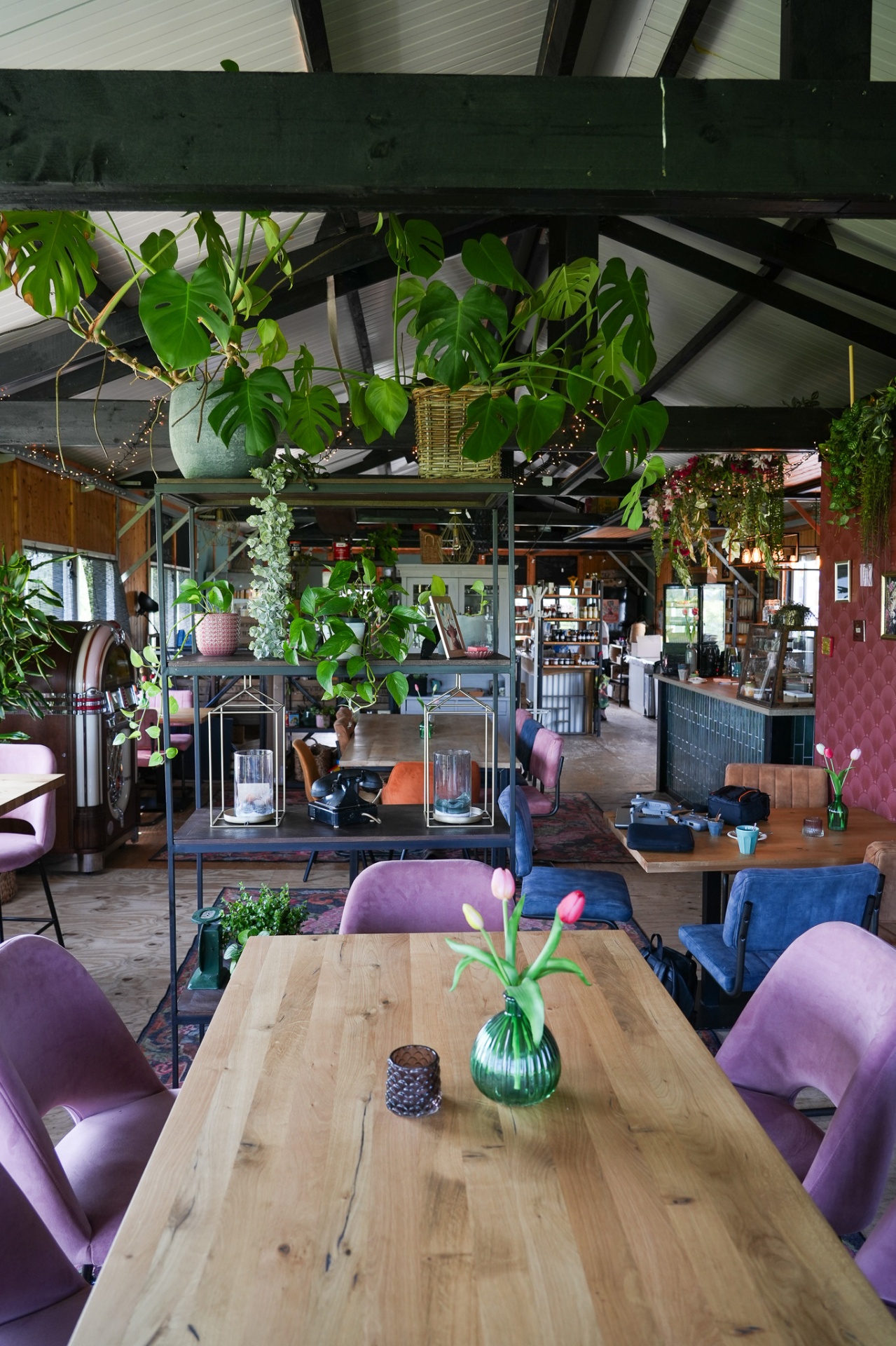 Sfeervol interieur van de boerderijwinkel met planten en houten tafels